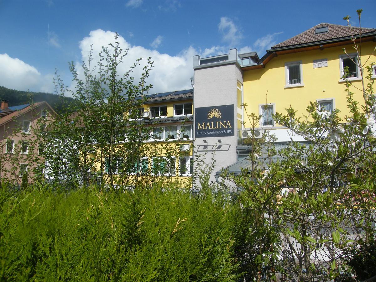 Malina Luxury Apartments And Spa Тодтнау Екстер'єр фото